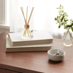 New Release 1 4oz Boxed Reed Diffuser Driftwood & Sea Salt - Opalhouseâ„¢